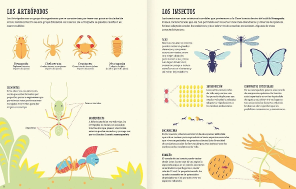 Insectópedia